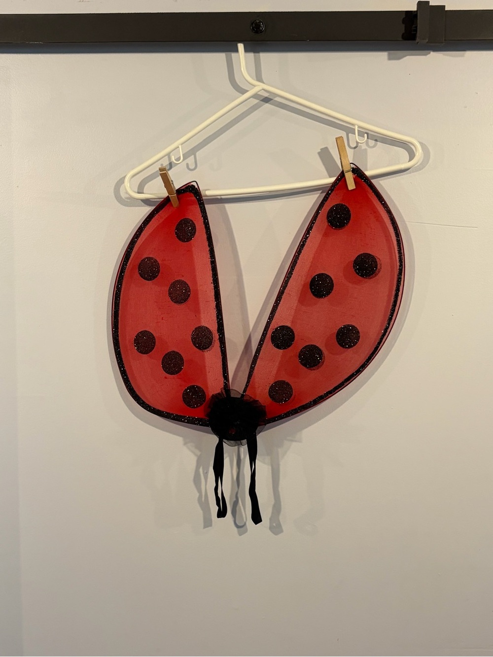 Kids Ladybug Wings Costume Accessory in Red - Unbranded